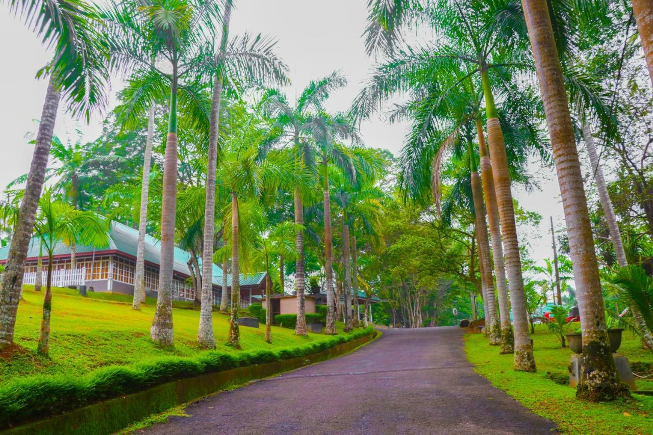 Rajanawa Resort Ratnapura Exterior foto